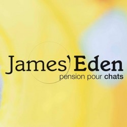 Pension Garderie James Eden Hébergement