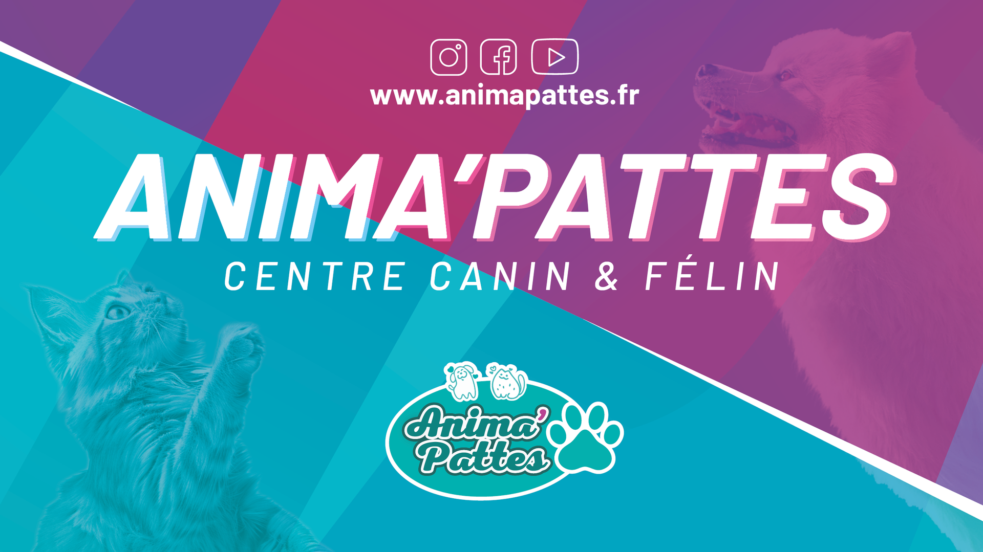 Anima 'Pattes chenil, pension pour chiens et chats