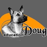 Doug Education dressage animal