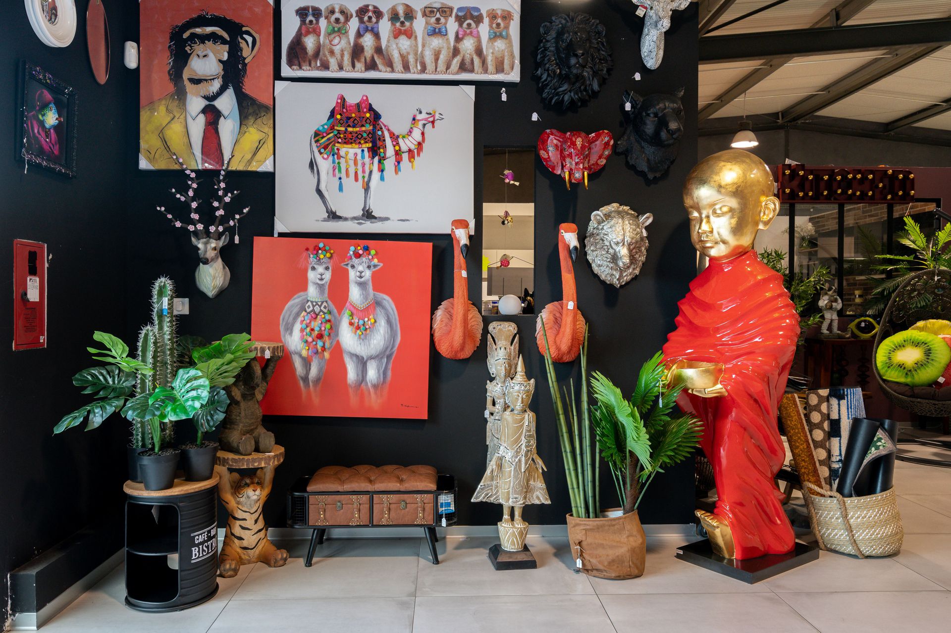 galerie image