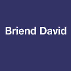 Briend David peinture et vernis (détail)