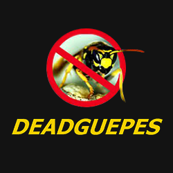 Dead Guepes service pour animaux