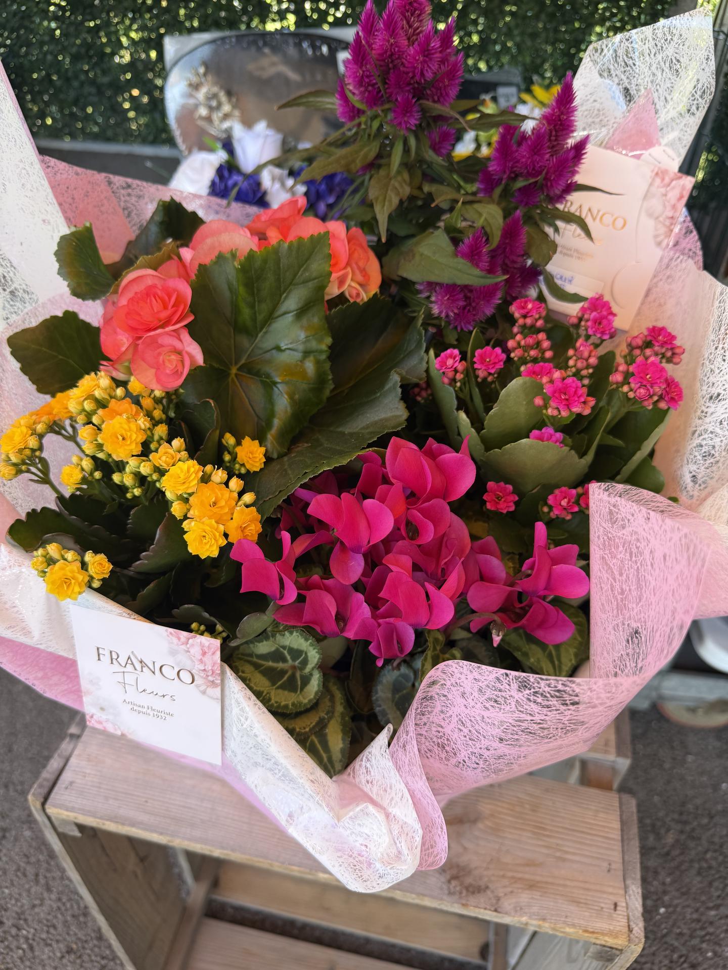 galerie image galerie image