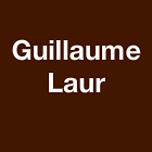 Laur Guillaume Expert