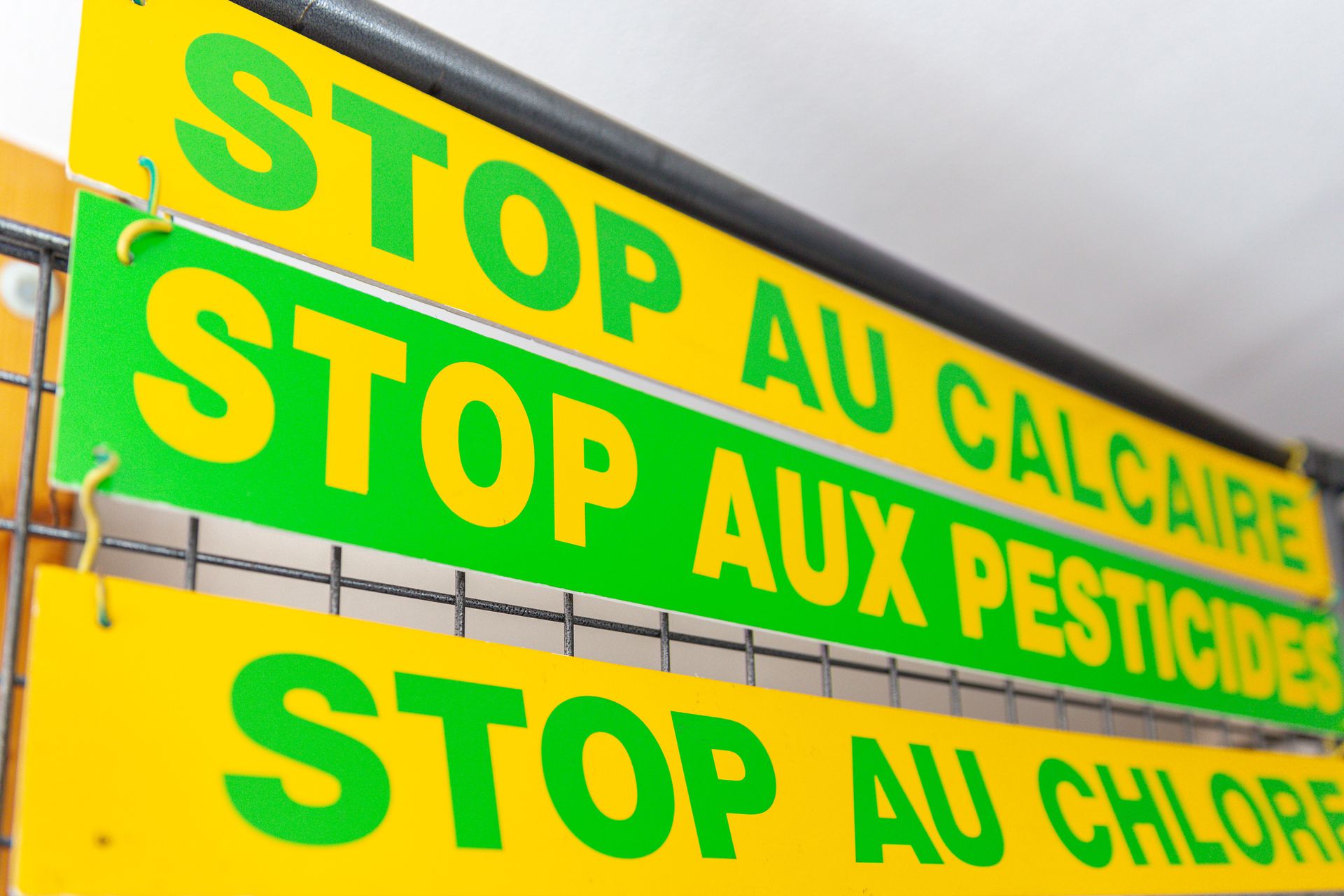 galerie image