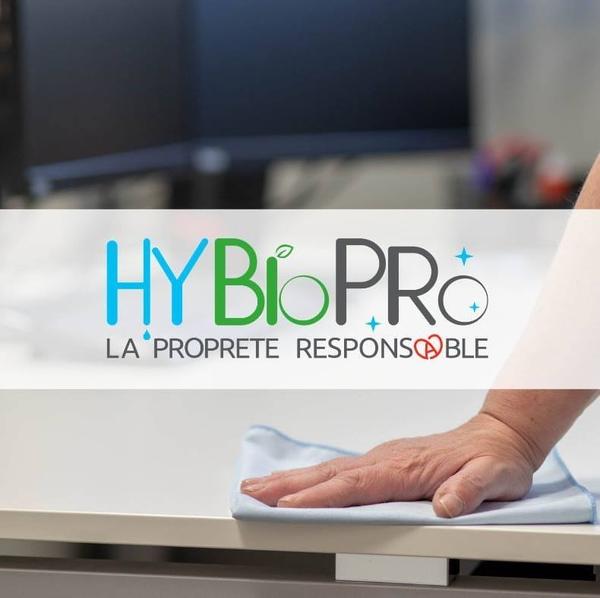 HyBioPro vidange et curage