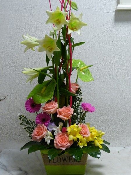 galerie image galerie image