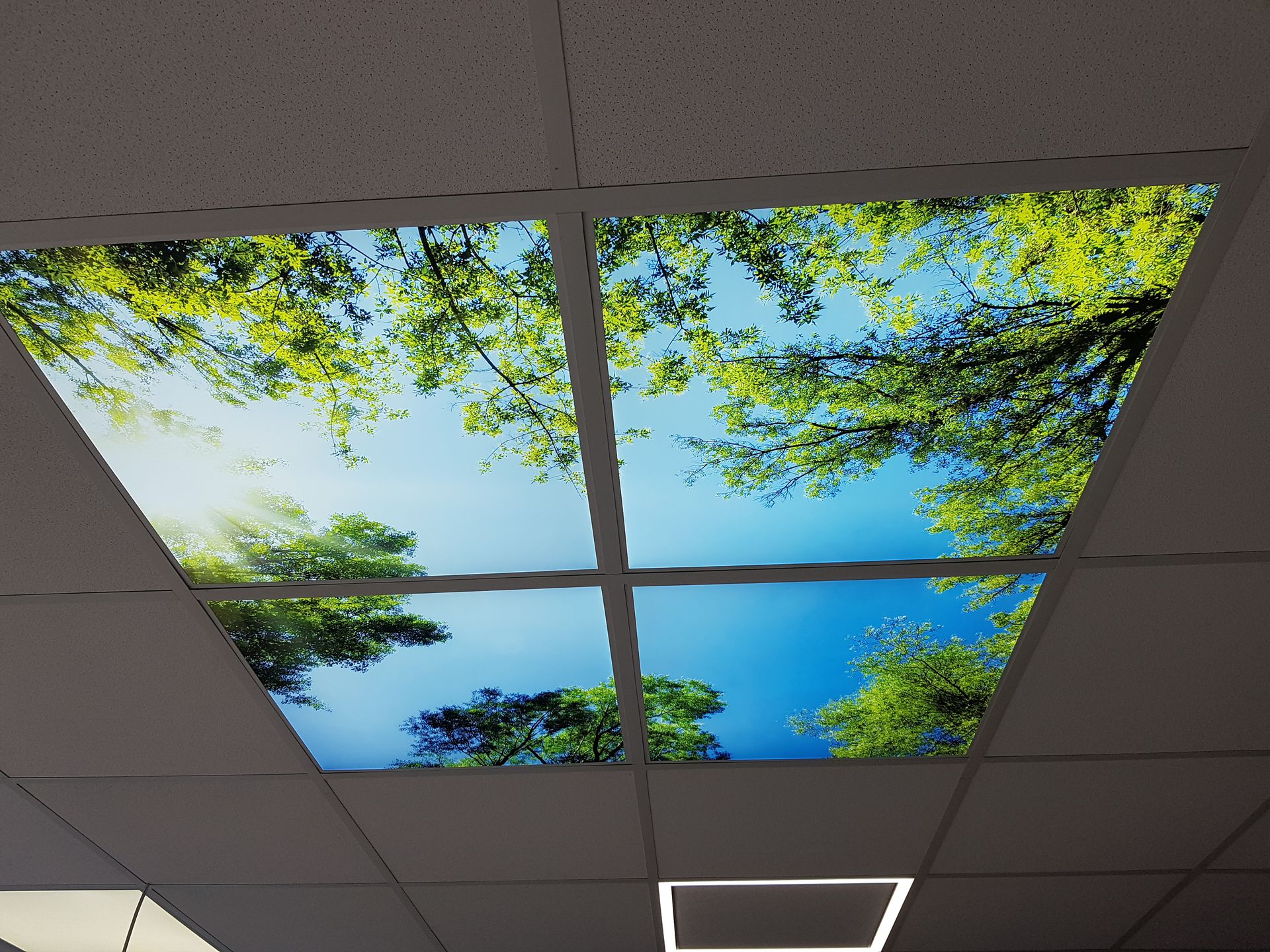 galerie image