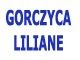 Gorczyca Liliane Conseil juridique et Justice