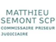 Selarl Matthieu Semont expert agréé aux enchères publiques