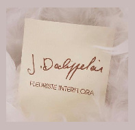 Magasin DECLIPPELEIR