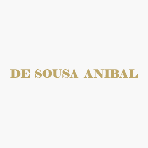 De Sousa Construction Expert