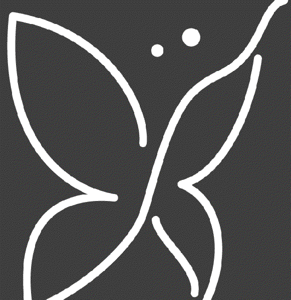 Chrysalis Funéraire Expert