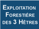 Exploitation Forestière des 3 Hêtres Expert