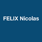 Felix Nicolas Expert