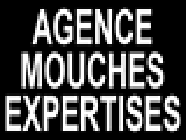Cabinet Mouchés Expert