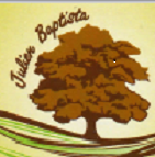 Julien Entretien Service paysagiste conseil