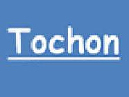 Tochon