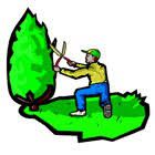 Ducoté de vos Jardins Expert