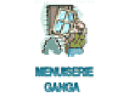 Menuiseries Ganga Bernard fenêtre, chassis vitré