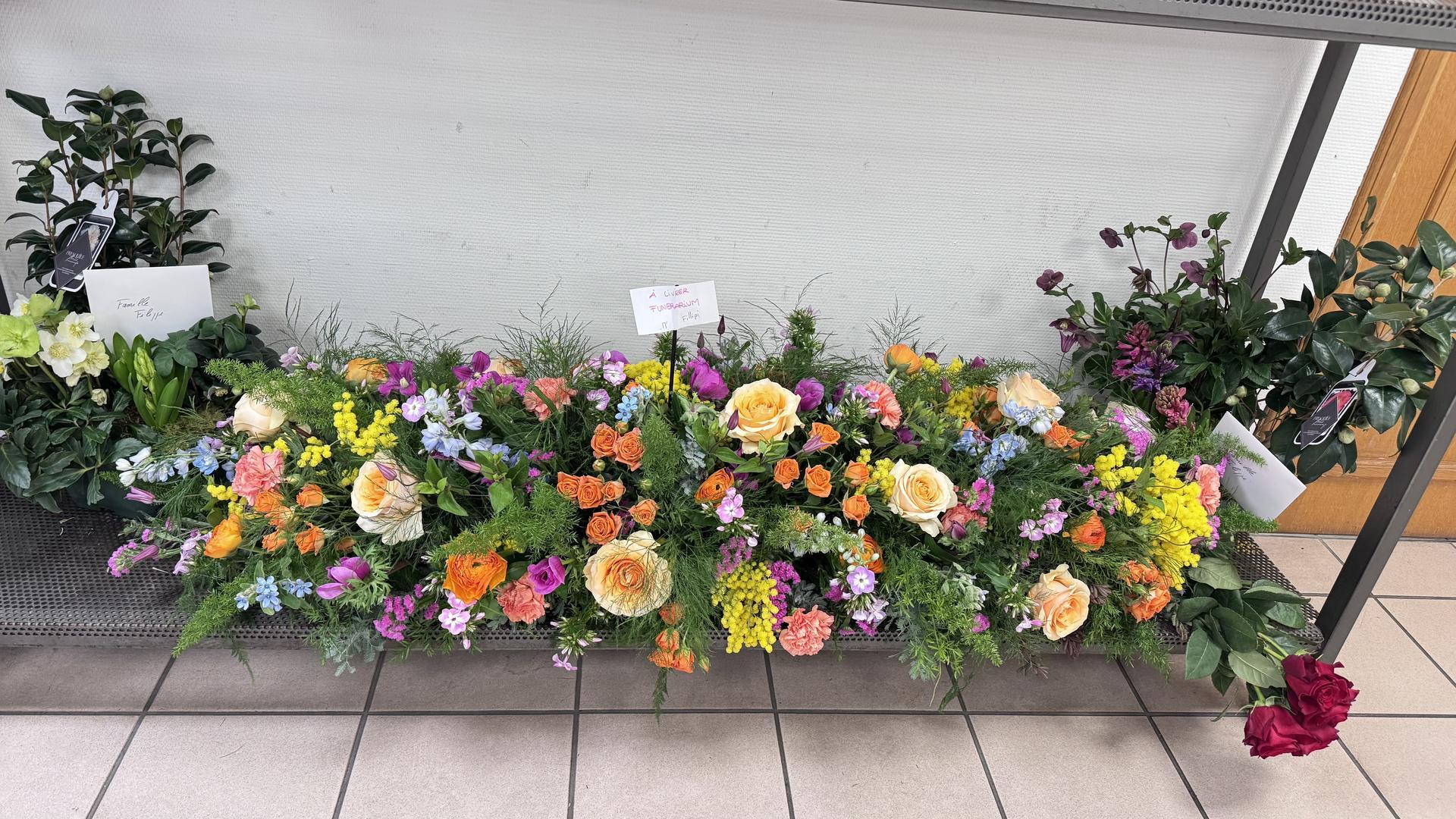 galerie image