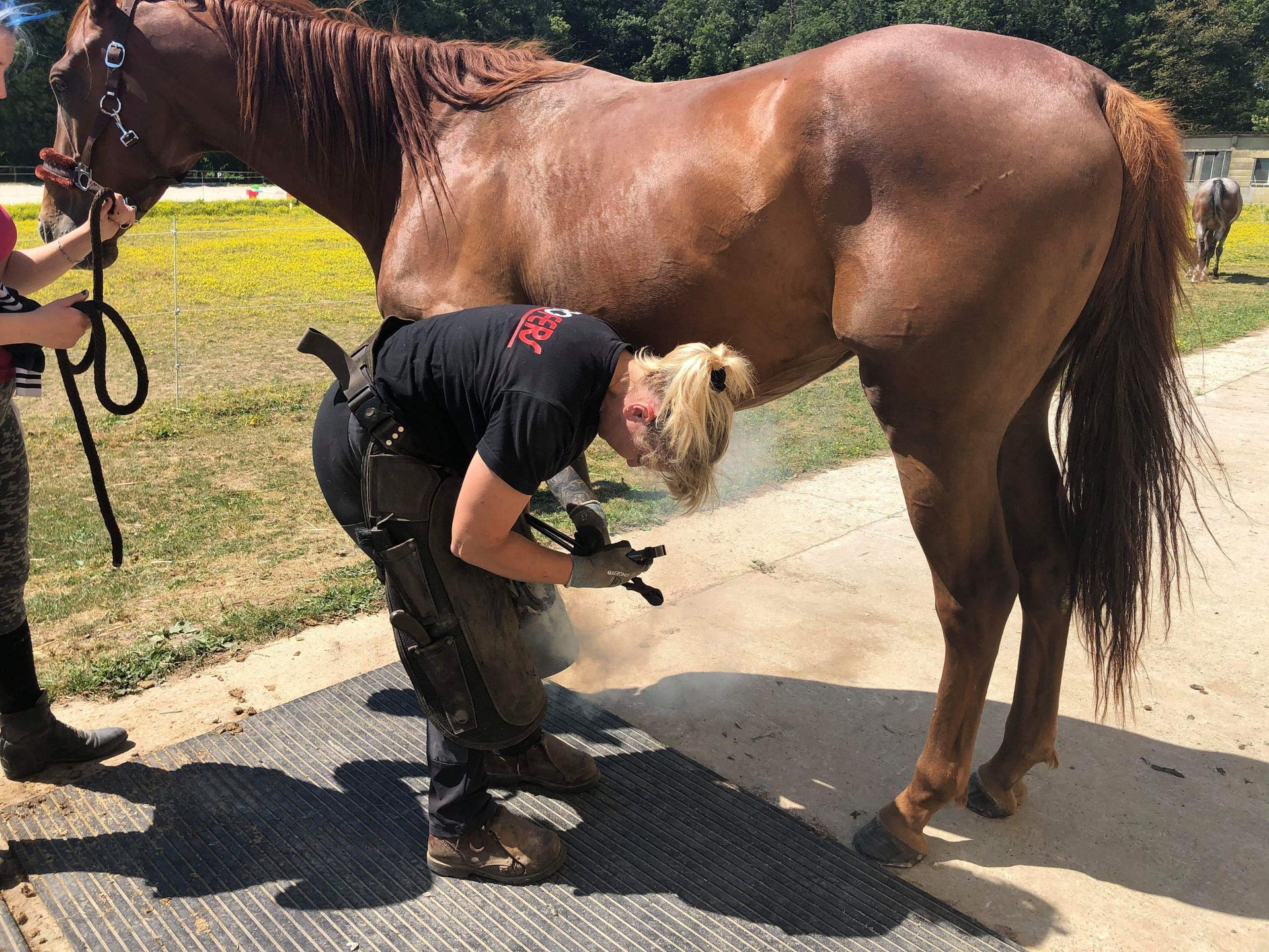 galerie image galerie image