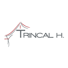 Trincal Hervé Expert