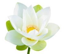 Villar Nettoyage vidange et curage