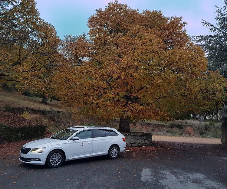 Galería en miniatura