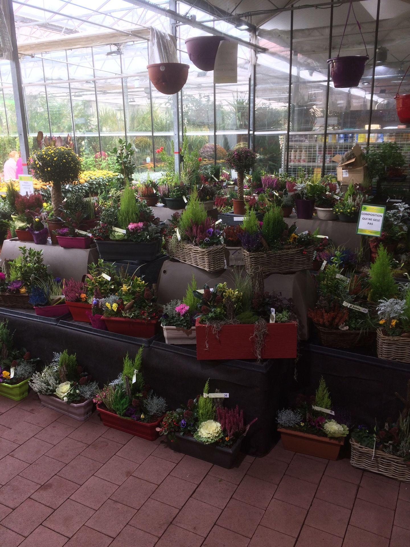 galerie image galerie image