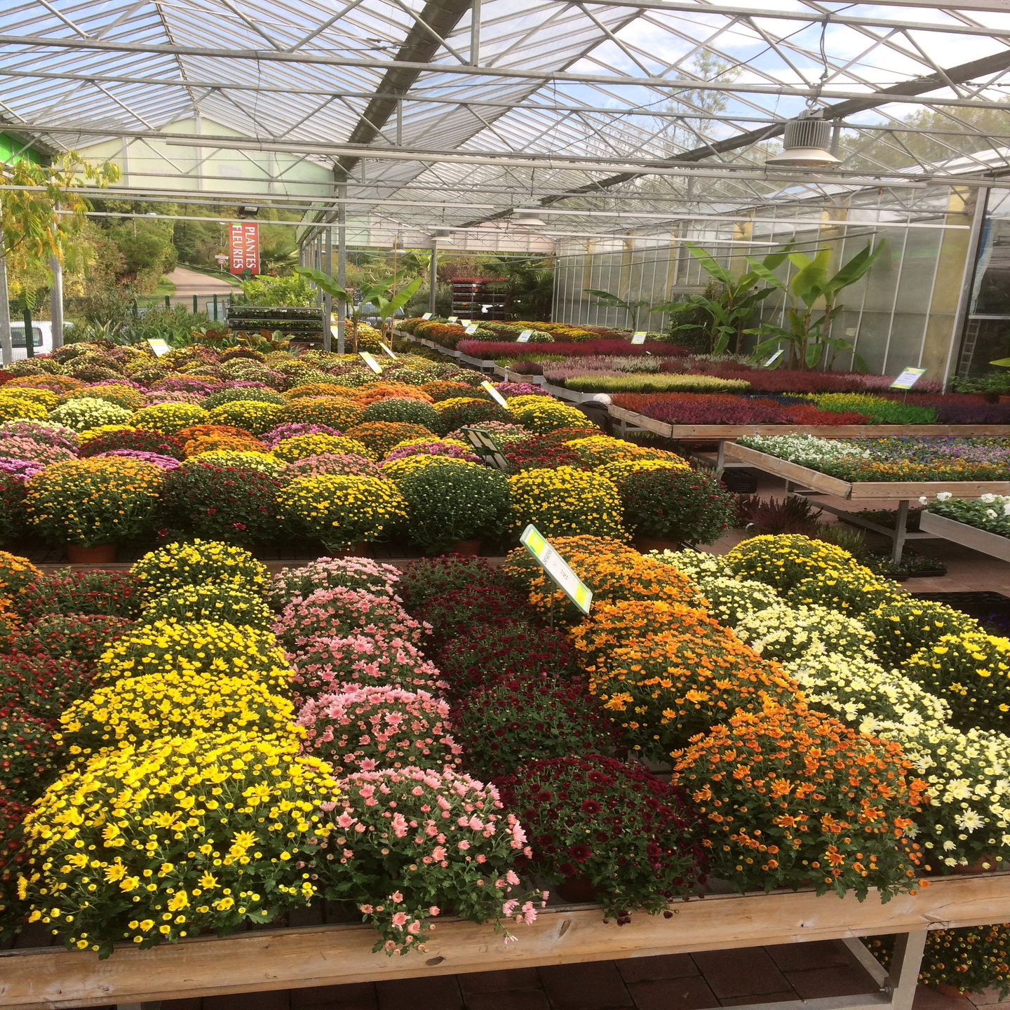 galerie image galerie image