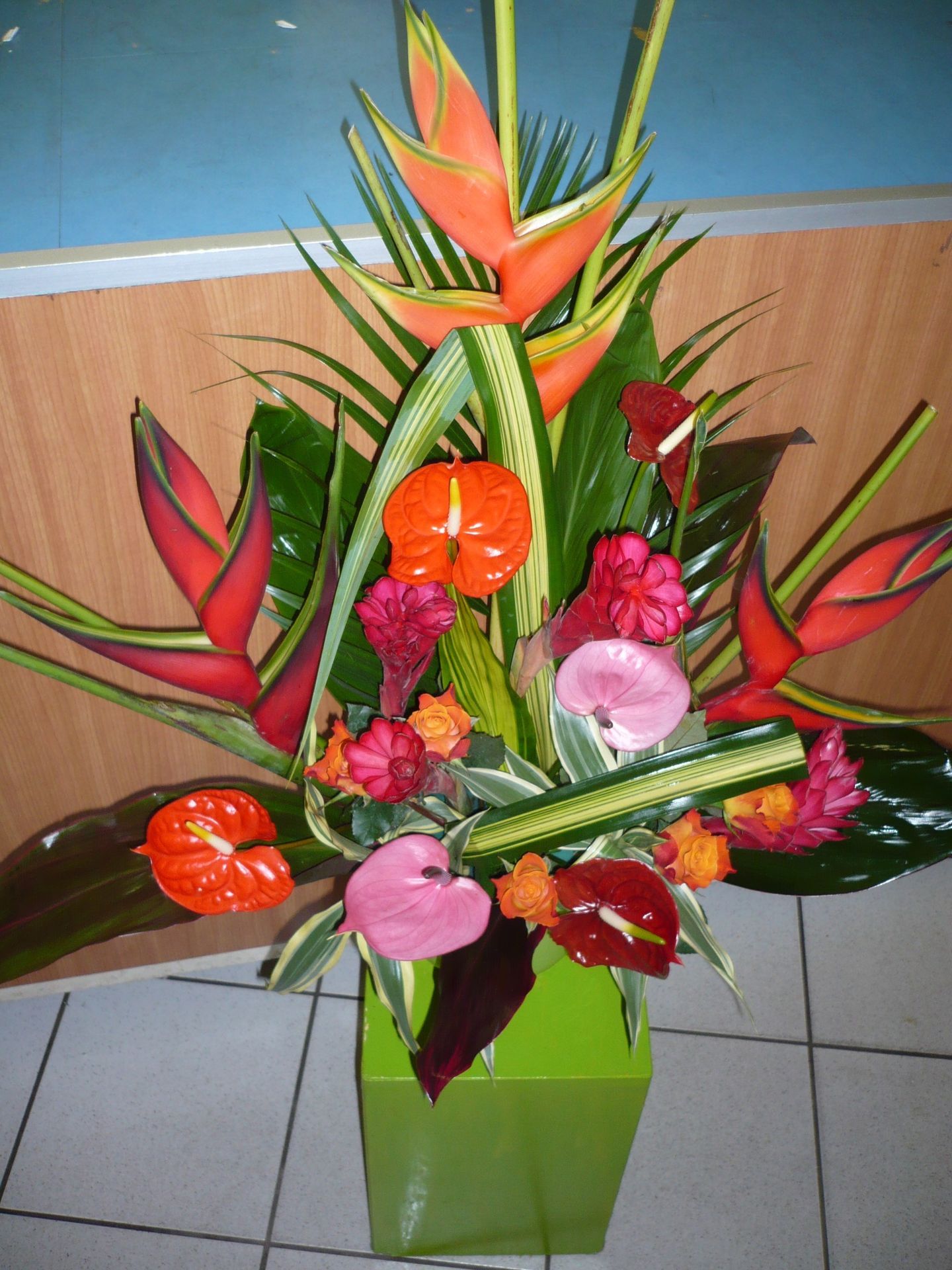 galerie image galerie image