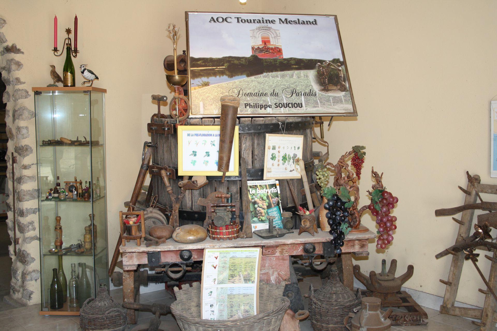 galerie image