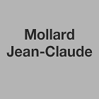 Mollard Jean-Claude Expert