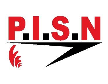P . I . S . N . Protection Incendie Sécurité de Normandie Expert