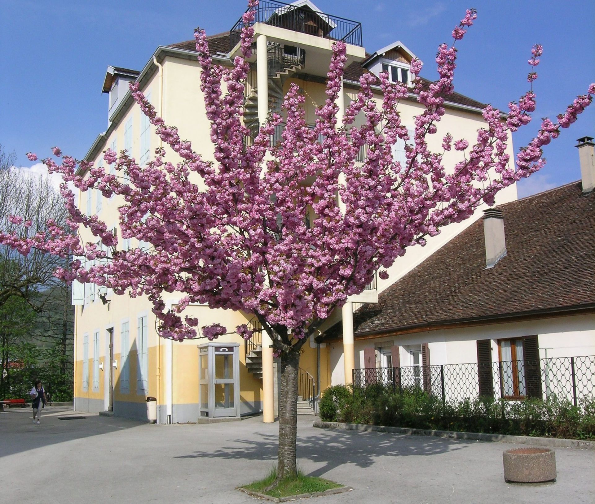 galerie image galerie image