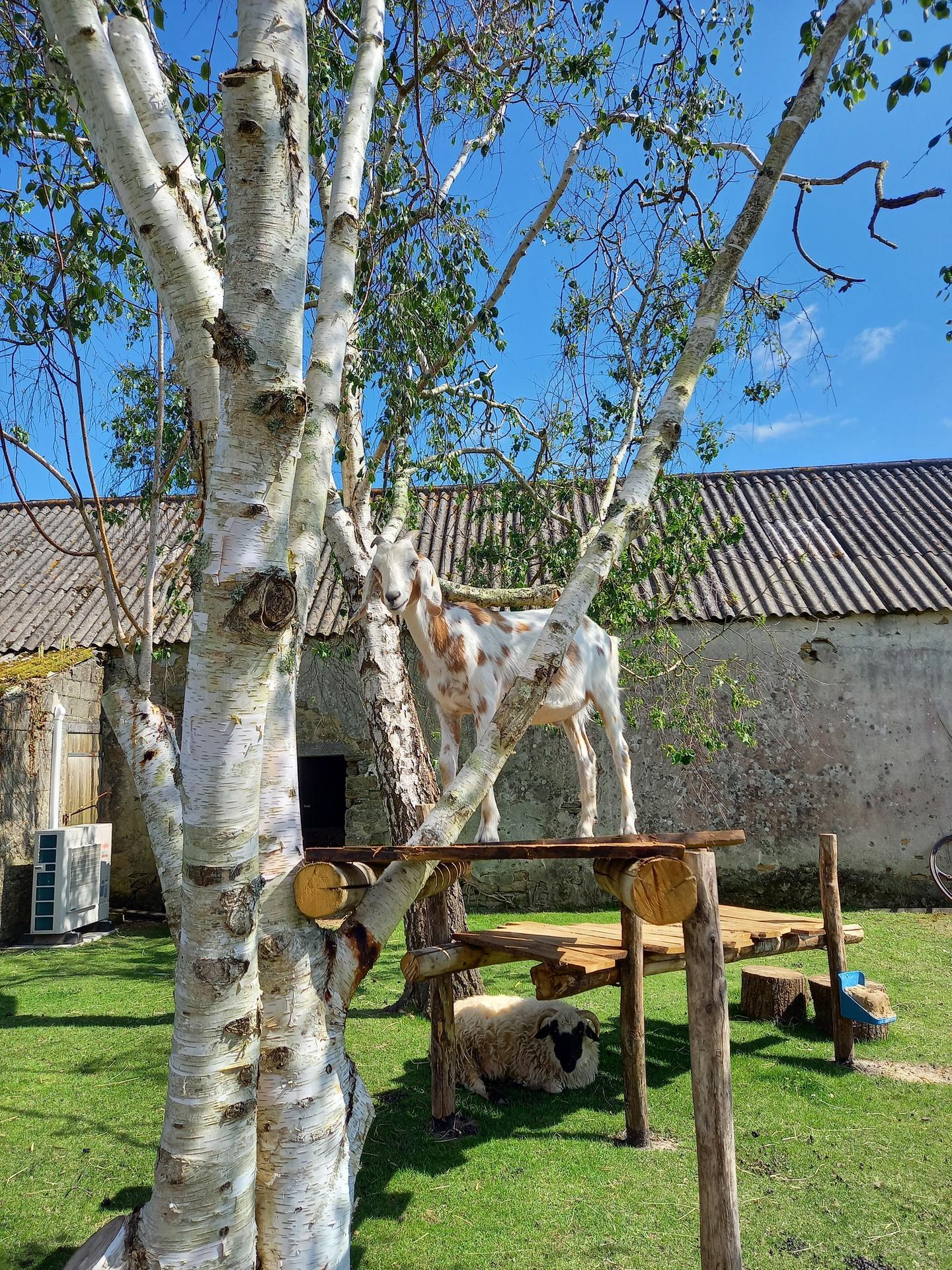 galerie image galerie image