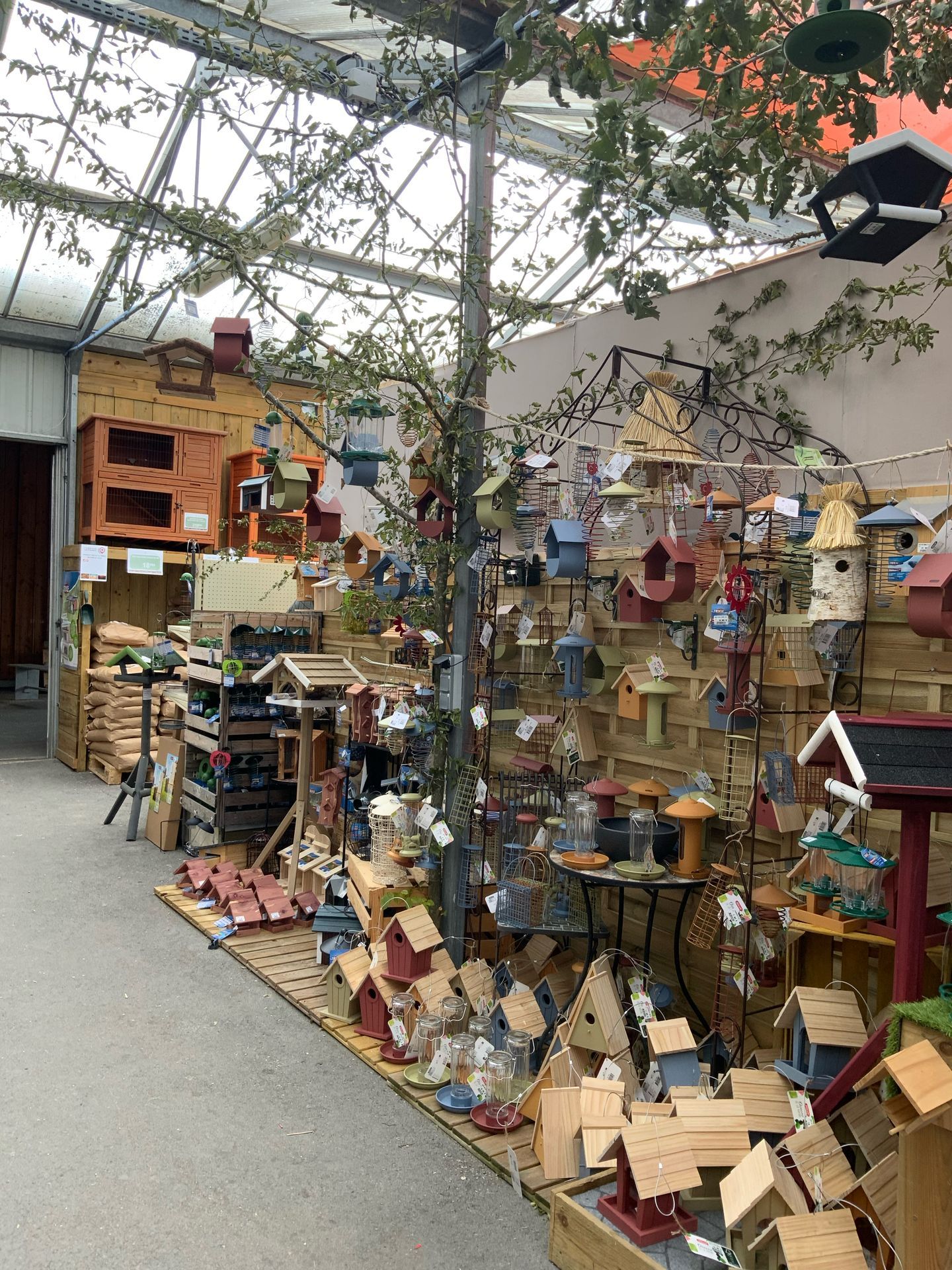 galerie image