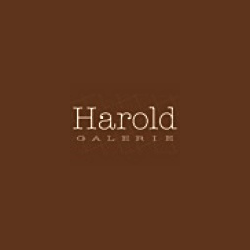 Harold Galerie-Photographe-Lyon lycée professionnel et technique privé