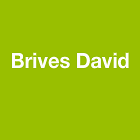 Brives David Expert
