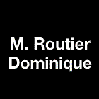 Routier Dominique Expert