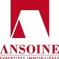 Ansoine expert en immobilier