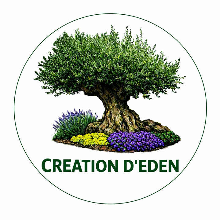 Creation D'Eden Autres services