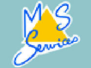 MS Services Expert