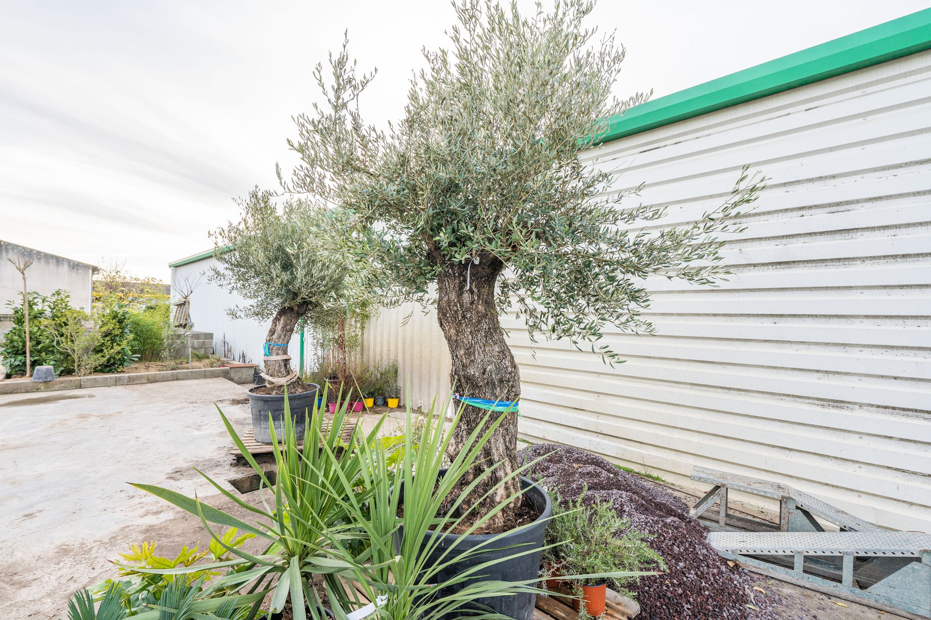 galerie image galerie image