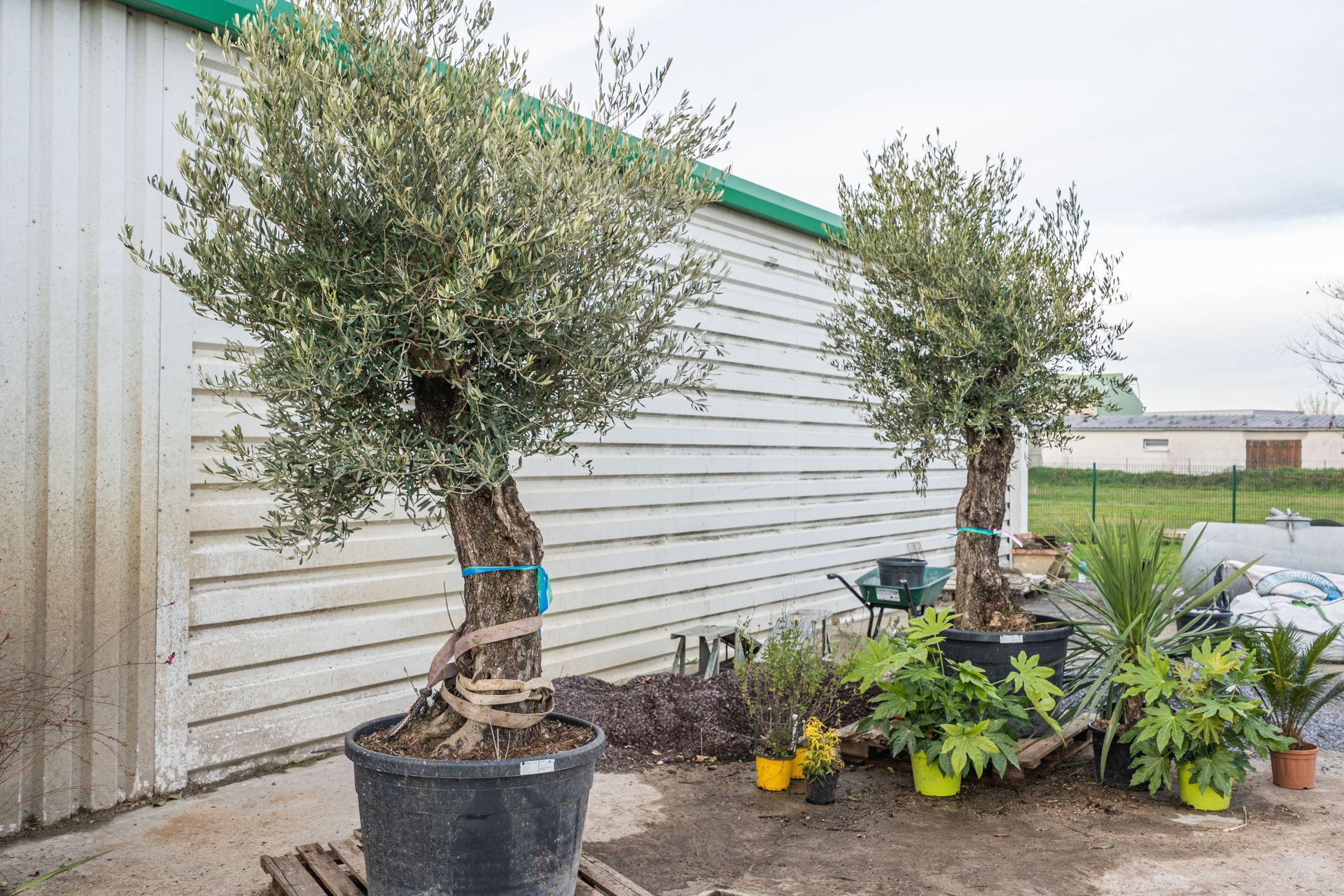 galerie image galerie image