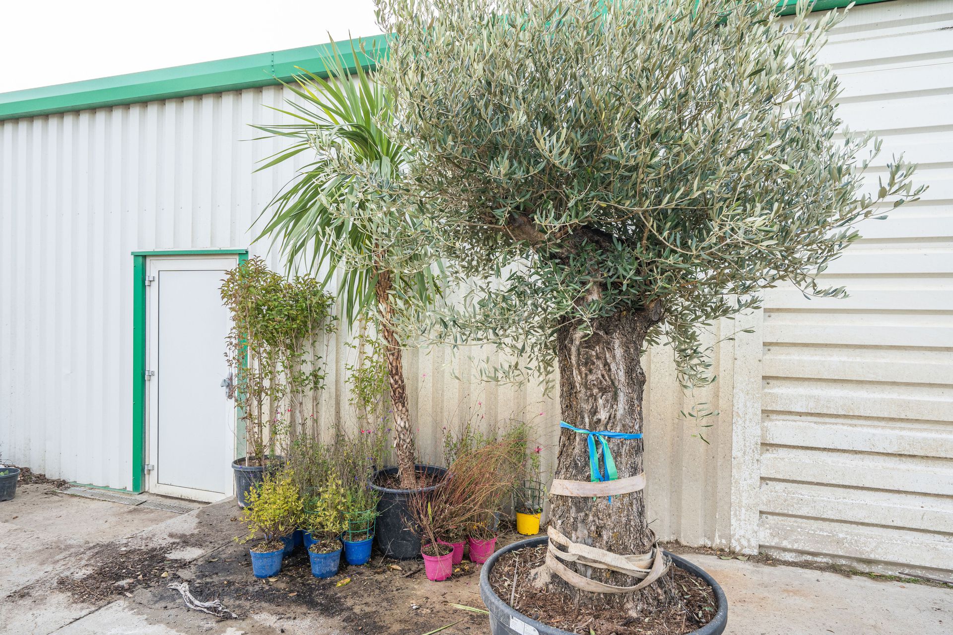 galerie image galerie image