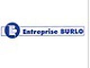 Burlo Expert