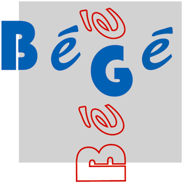 BEGE Bureau d'Études de Gestion et d'Économie Expert