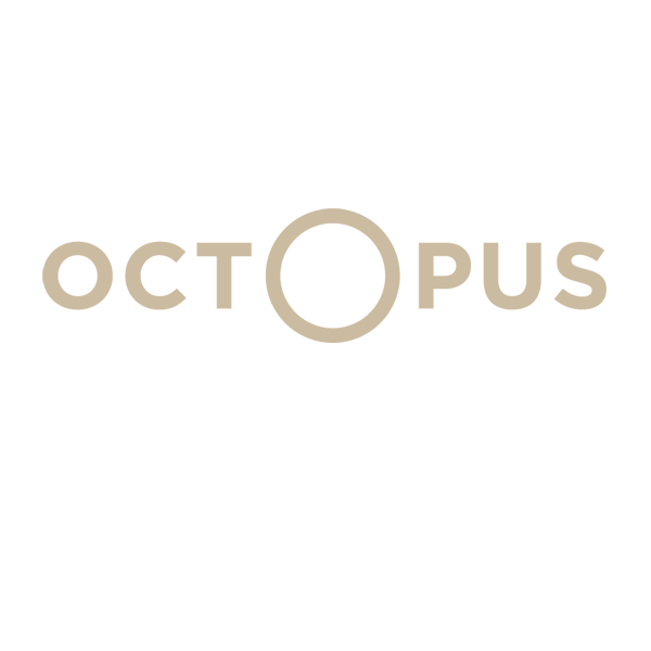 L'octopus librairie et papeterie (détail)